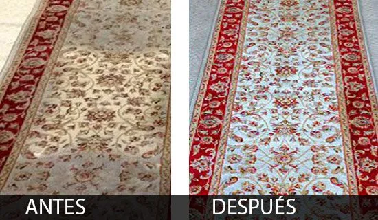 Limpieza de alfombras 1