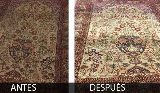 Limpieza de alfombras 3