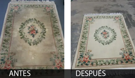 Limpieza de alfombras 4