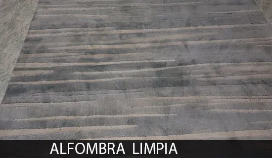 Limpieza de alfombras 6