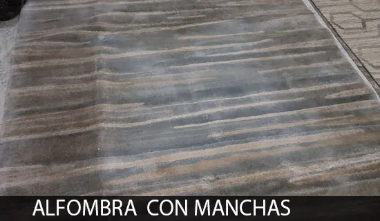 Limpieza de alfombras 7