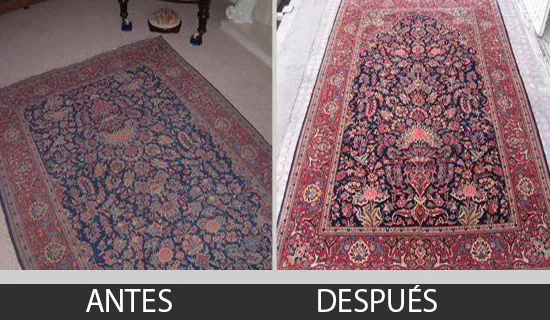 Limpieza de alfombras 10