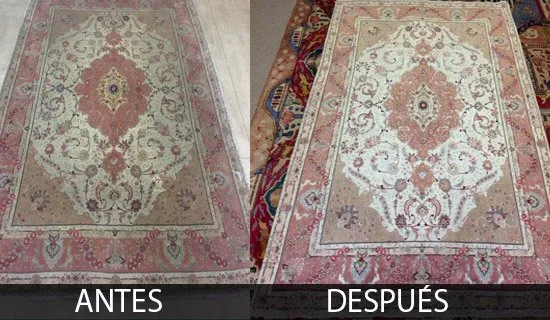 Limpieza de alfombras 14